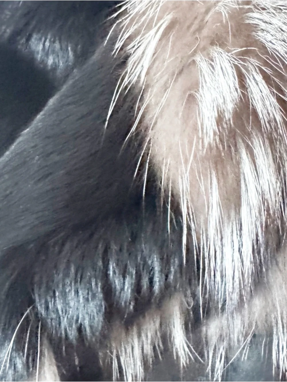 Women’s Black Faux Fur Trim Leather Jacket - Picture 5 of 7